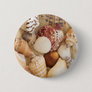Seashell-Anordnung Button