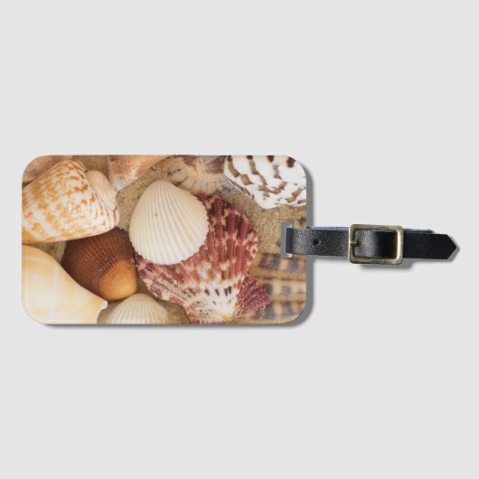 Seashell-Anordnung Gepäckanhänger (Vorderseite (Horizontal))