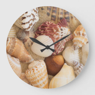 Seashell-Anordnung Große Wanduhr