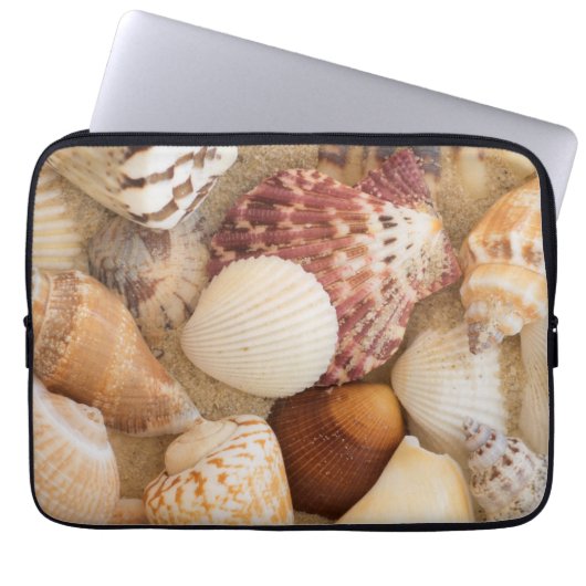 Seashell-Anordnung Laptopschutzhülle (Vorderseite)