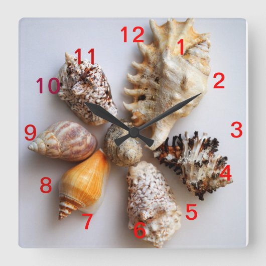 Seashell-Anordnungs-Uhr Quadratische Wanduhr (Vorderseite)