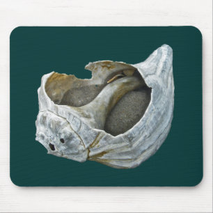 Seashell - Anpassen Wählen Sie Ihre Hintergrundfar Mousepad