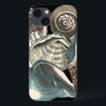 Seashell-Anthologie iPhone 13 Hülle<br><div class="desc">Diese Grafik durch Visions-Studio nimmt etwas von dem besten Ozeanseeleben gefangen. Erhalten Sie dieses rustikale Stück Grafik dieser verschiedenen Formen und Größen der Tritonshorn-Muscheln. Dieses ist ein einzigartiges Stück Grafik dieser Seashell-Anthologiestücke.</div>