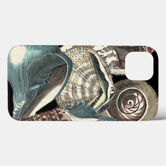 Seashell-Anthologie Case-Mate iPhone Hülle (Rückseite (Horizontal))