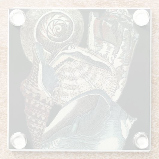 Seashell-Anthologie Glasuntersetzer (Rückseite)
