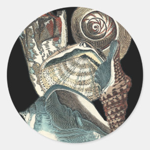 Seashell-Anthologie Runder Aufkleber