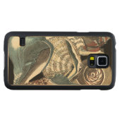 Seashell Anthology (Vorderseite (Horizontal))