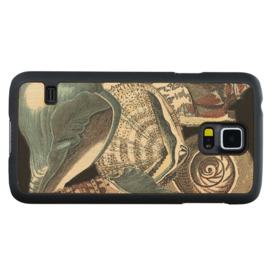 Seashell Anthology (Vorderseite (Horizontal))