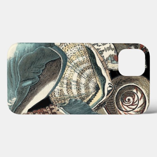 Seashell Anthology Case-Mate iPhone Hülle (Rückseite (Horizontal))