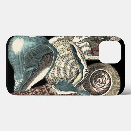 Seashell Anthology Case-Mate iPhone Hülle (Rückseite (Horizontal))