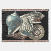 Seashell Anthology Decke (Vorderseite)