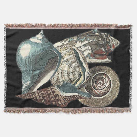 Seashell Anthology Decke (Vorderseite)