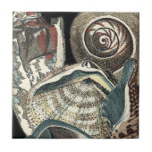 Seashell Anthology Fliese (Vorderseite)