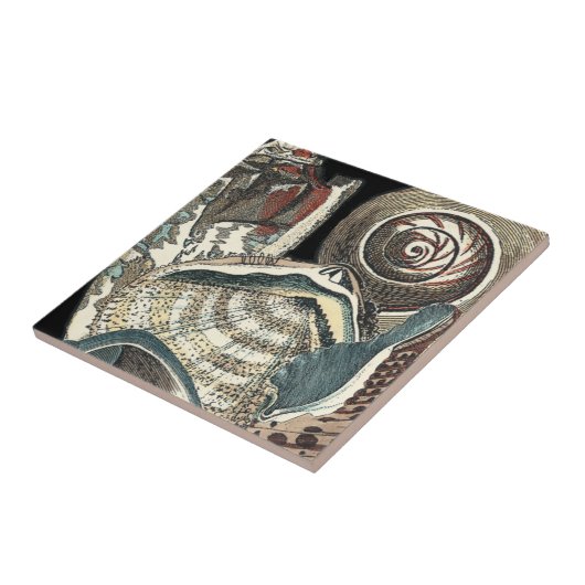 Seashell Anthology Fliese (Seite)