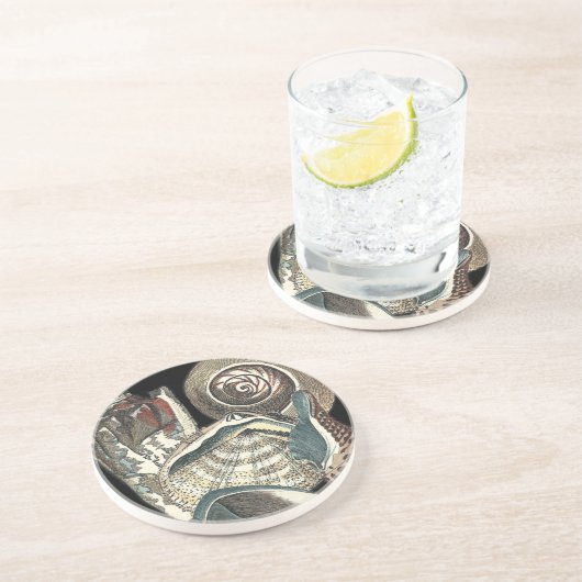 Seashell Anthology Getränkeuntersetzer (Seite)