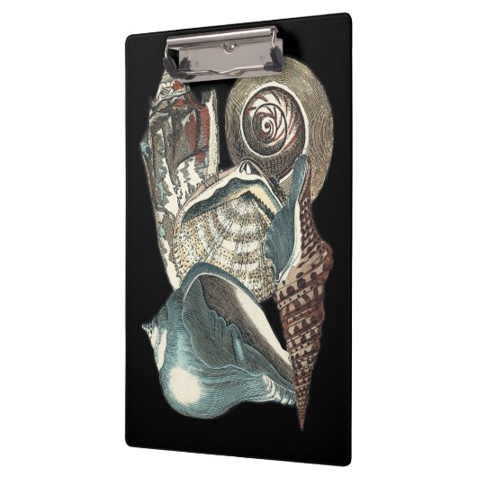 Seashell Anthology Klemmbrett (Links)