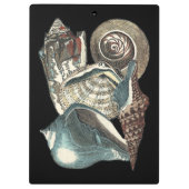 Seashell Anthology Klemmbrett (Rückseite)
