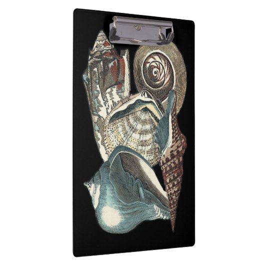 Seashell Anthology Klemmbrett (Rechts)