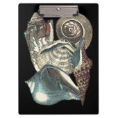 Seashell Anthology Klemmbrett (Vorderseite)