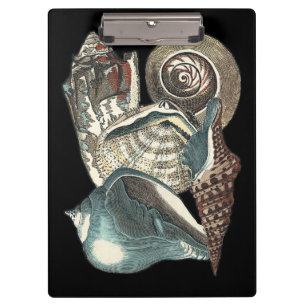 Seashell Anthology Klemmbrett