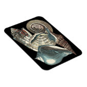 Seashell Anthology Magnet (Rechte Seite)