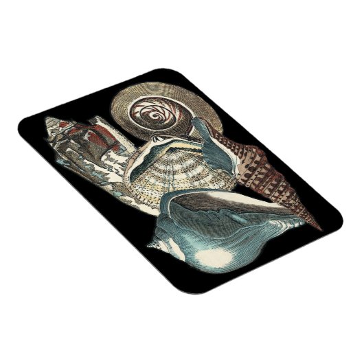 Seashell Anthology Magnet (Rechte Seite)