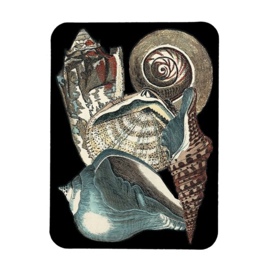 Seashell Anthology Magnet (Vertikal)