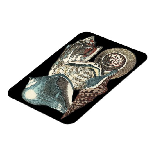 Seashell Anthology Magnet (Linke Seite)