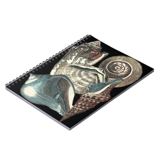Seashell Anthology Notizblock (Linke Seite)