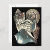 Seashell Anthology Postkarte (Vorne/Hinten)