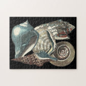 Seashell Anthology Puzzle (Horizontal)