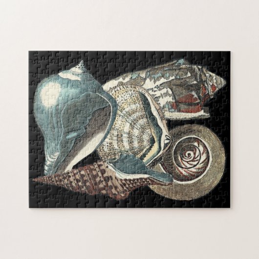 Seashell Anthology Puzzle (Horizontal)