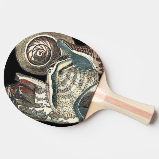 Seashell Anthology Tischtennis Schläger (Seitenansicht)