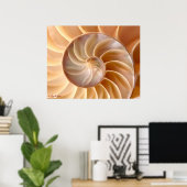 Seashell Architecture Poster (Heimbüro)