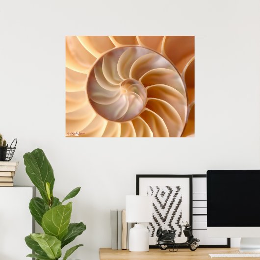 Seashell Architecture Poster (Heimbüro)