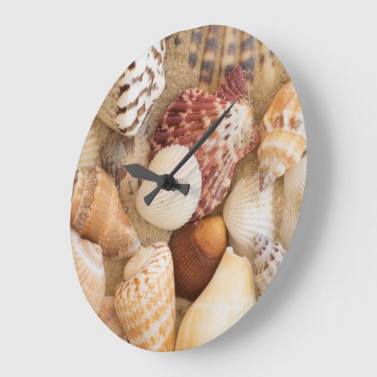 Seashell-Arrangement Große Wanduhr (Winkel)