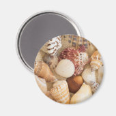 Seashell-Arrangement Magnet (Vorderseite/Rückseite)