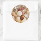 Seashell-Arrangement Runder Aufkleber (Tasche)