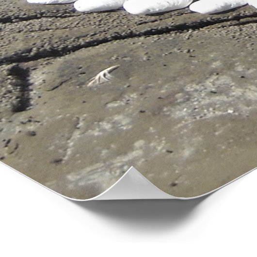 Seashell Art am Strand Poster (Ecke)