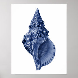 Seashell Art Decor der Marine Poster