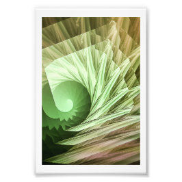 Seashell Art Print Fotodruck