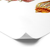 Seashell Art Print No.10 Beach Wall Decor Poster (Ecke)