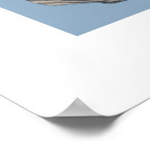 Seashell Art Print Poster (Ecke)