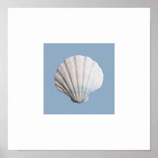 Seashell Art Print Poster (Vorne)