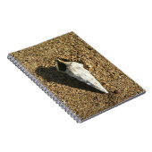 Seashell auf dem Strand Notizblock (Rechte Seite)