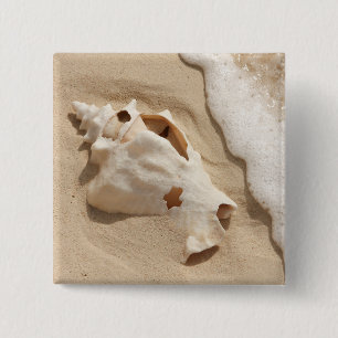 Seashell auf großartiger Türke-karibischer Insel Button