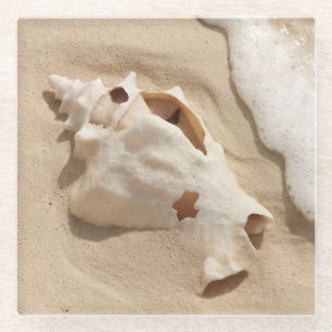 Seashell auf großartiger Türke-karibischer Insel Glasuntersetzer