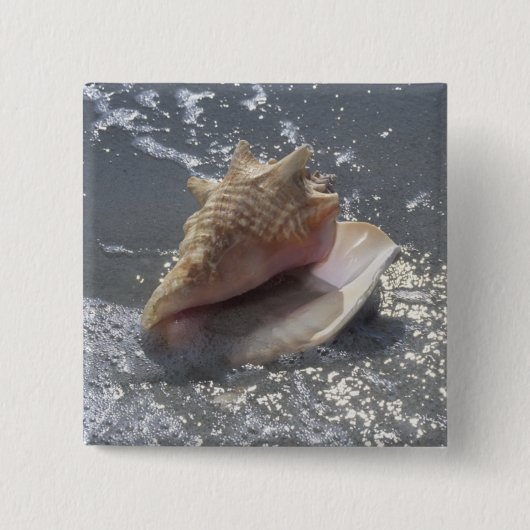 Seashell auf Insel des Strand-| Sanibel, Florida Button (Vorderseite)