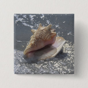 Seashell auf Insel des Strand-  Sanibel, Florida Button