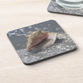 Seashell auf Insel des Strand-| Sanibel, Florida Getränkeuntersetzer (Linke Seite)